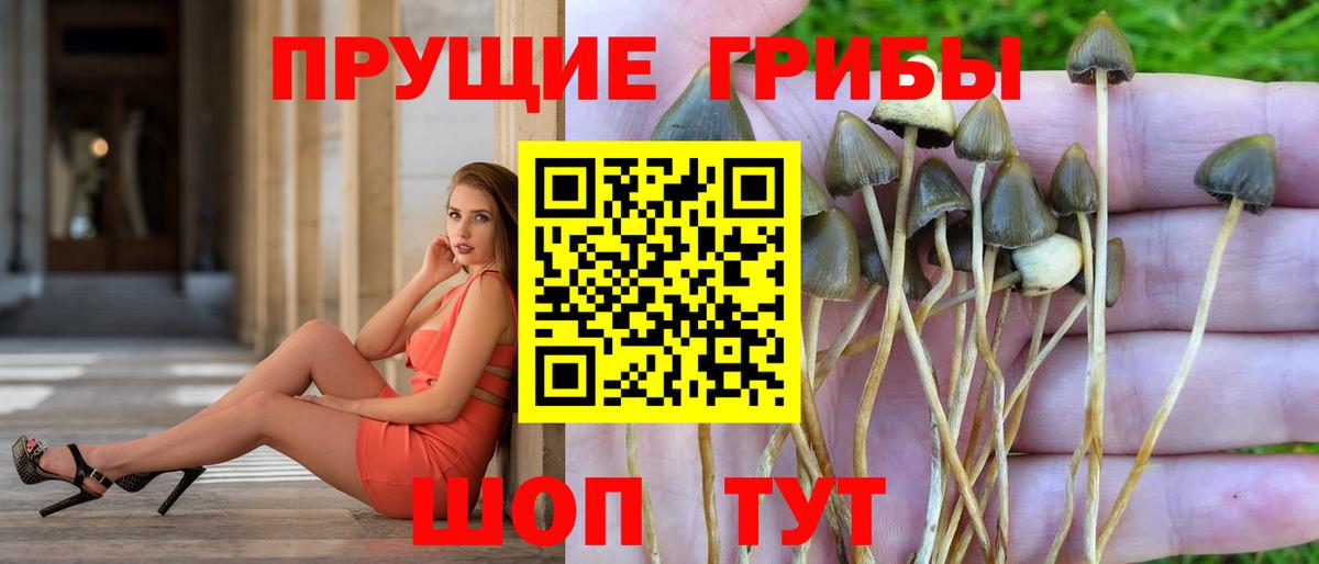 Галлюциногенные грибы прущие грибы Боровичи